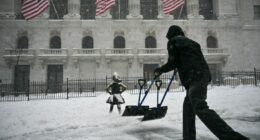 Weather alerts issued for NYC as wind-chill feel plunges into the 20s