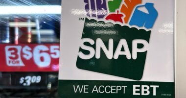 Welfare Reform Boost: More States Enforce New 80-Hour SNAP Rules