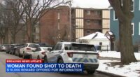 West Rogers Park, Chicago shooting today leaves woman dead in home in 6900-block of North Bell Avenue, police department says