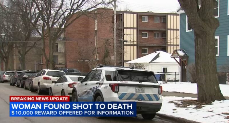 West Rogers Park, Chicago shooting today leaves woman dead in home in 6900-block of North Bell Avenue, police department says