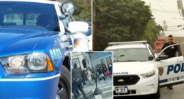 Westchester County cops ready to pounce after teen mob takeover at NYC mall