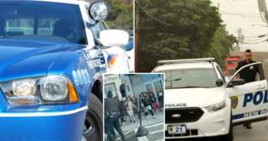 Westchester County cops ready to pounce after teen mob takeover at NYC mall