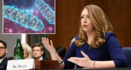 What is mitochondrial dysfunction? Dr. Casey Means says it's the root of chronic illness