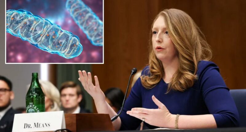 What is mitochondrial dysfunction? Dr. Casey Means says it's the root of chronic illness