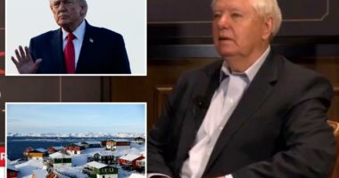 'Who gives a s--t who owns Greenland?'