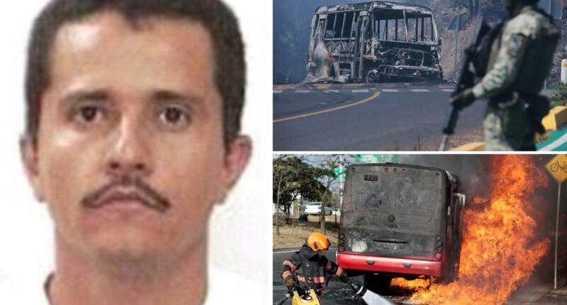 Who is 'El Mencho,' the Jalisco New Generation cartel leader gunned down by Mexican military?