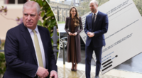 Will and Kate break silence on Andrew's Epstein scandal