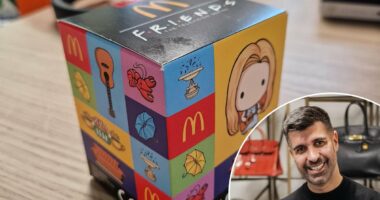 Will my Friends McDonald's adult happy meal toy be worth a fortune in the future? DAN HATFIELD replies