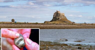Woman finds 'smiling' rock on UK island