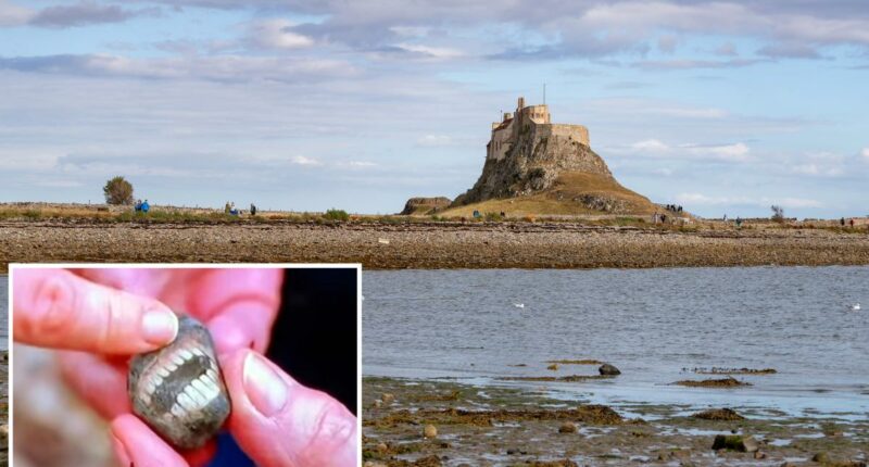 Woman finds 'smiling' rock on UK island