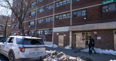 Woman found dead inside inside black plastic bag in Brooklyn apartment building was chopped up