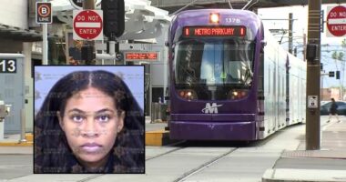 Woman had 'no other choice' but to stab train rider 14 times with 'steak knife' after the victim started a fight with her and people aboard were 'just watching': Lawyer