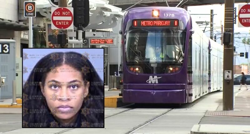 Woman had 'no other choice' but to stab train rider 14 times with 'steak knife' after the victim started a fight with her and people aboard were 'just watching': Lawyer