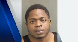 Woman shot in face after offering man ride at Orange County Wawa, deputies say