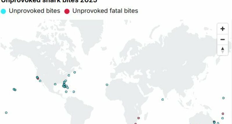 World's shark attack hotspots REVEALED: Map shows the areas with the most encounters in 2025 - with Florida topping the list