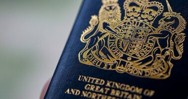 Dual nationals may have to pay nearly £600 for a 'certificate of entitlement' to enter the UK under new Home Office rules