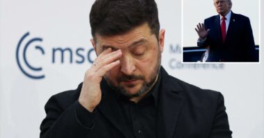 Zelensky begs Trump 'give us a ceasefire,' promises to hold elections as Russian drones bombard Ukraine