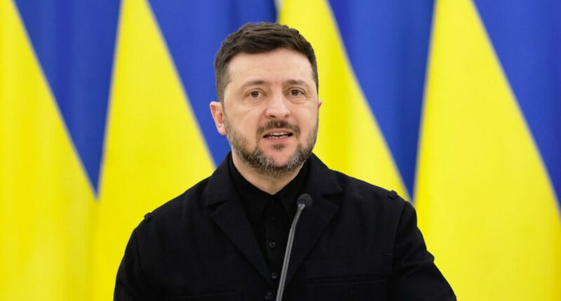 Zelenskyy announces next round of talks with US, Russia as Ukraine aims for 'real and dignified end to the war