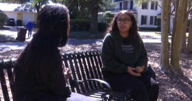 ‘Black’ banned from flyers for FAMU College of Law Black History Month event, student says