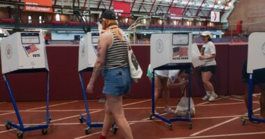 ‘Closed’ democracy in N.Y. shuts me out