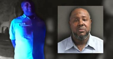 ‘Didn’t get too far:’ SWAT bust leads to major finds in DeBary, Sanford, video shows