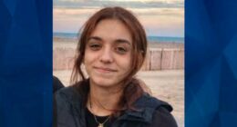 ‘Please don’t shoot me. I’m sorry’: Person of Interest Arrested, Search Continues for Missing Wisconsin Woman