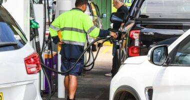 Long queues for petrol at a Sydney service station.