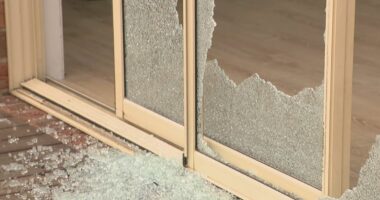 'I wish they killed me': Mother left traumatised after violent home invasion