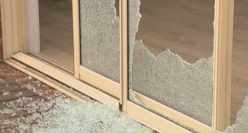 'I wish they killed me': Mother left traumatised after violent home invasion