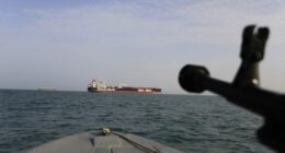 'Sitting ducks': Warning over sending warships to Hormuz strait