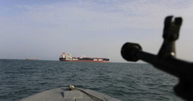 'Sitting ducks': Warning over sending warships to Hormuz strait