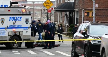 FBI agents and the NYPD cordoned off an area near Gracie Mansion in Manhattan's Upper East Side on Sunday.