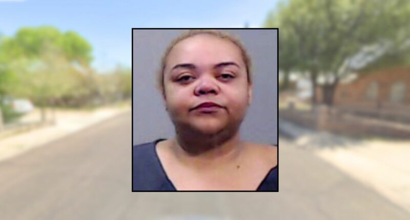 1-year-old twins left alone in tub by babysitter who wanted to watch TV drowned after scrunchie blocked the drain and the woman fell asleep