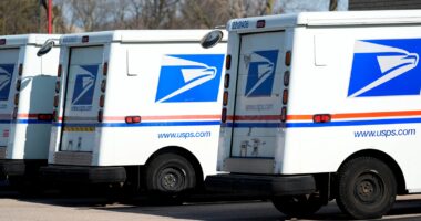 US Postal Service expects to run out of cash in a year without help from Congress, postmaster says