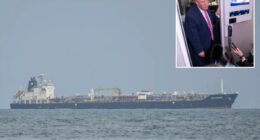 US allows Russian oil tanker to reach Cuba amid blockade as Trump says island âhas to surviveâ