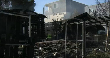 2 pet dogs killed after fire from vacant home spreads to family home in Larchmont, Los Angeles, California