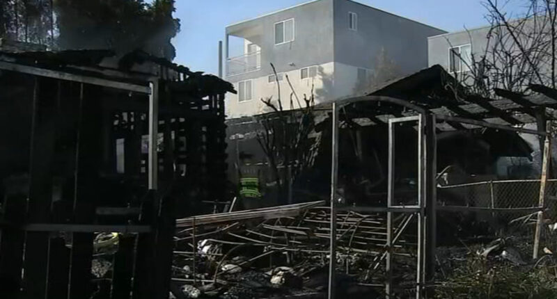 2 pet dogs killed after fire from vacant home spreads to family home in Larchmont, Los Angeles, California