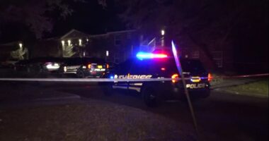 2-year-old boy shot, killed after argument among adults leads to shooting on the Westside