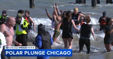 2026 Polar Plunge Chicago: Thousands brave frigid Lake Michigan, raise over $1.5M for Special Olympics Illinois, charities