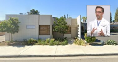 26 families sue fertility doctor who 'secretly rounded up' their embryos and held them 'hostage' at an unknown location