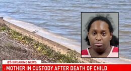 5-year-old found in trash bag bobbing along bay waterline after mom killed him and stuffed the boy inside with blankets and towels: Police