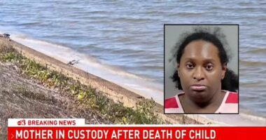 5-year-old found in trash bag bobbing along bay waterline after mom killed him and stuffed the boy inside with blankets and towels: Police