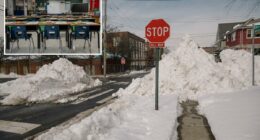 70% of Staten Island students skipped school following blizzard because of Mamdani policies