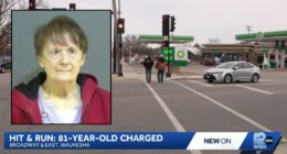 81-year-old headed to Pick 'N Save 'thought she hit something' on the way and kept going — it was a man she sent 15 feet into the air: Police