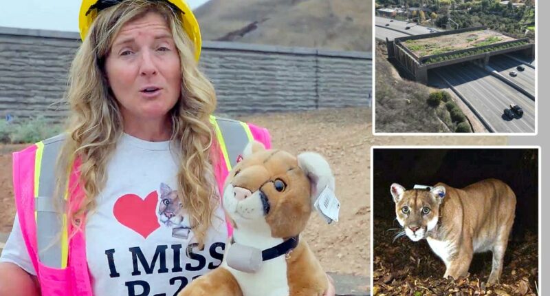 Â Wallis Annenberg Wildlife Crossing costs $114M