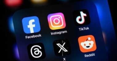 Toronto, Canada - August 22, 2024:    Popular social media apps on an Apple iPhone: Facebook, Instagram, TikTok, Threads, X (formerly Twitter), and Reddit.