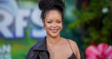 A woman prosecutors say fired shots at Rihanna's home in attempt to kill her set to appear in court