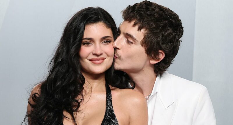 ALISON BOSHOFF: Night Tinseltown took revenge on loser Timothee