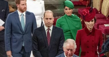 AMANDA PLATELL: Harry's latest desperate plea is SO see-through to me as a seasoned observer... I know what's behind it and it isn't pretty