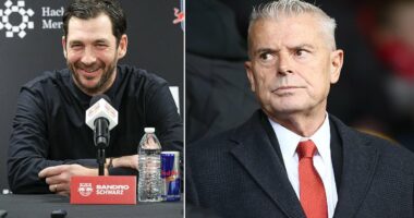 Aberdeen chairman Dave Cormack admits club's manager search has become an 'embarrassment'... as German coach Sandro Schwarz emerges as latest contender for hotseat